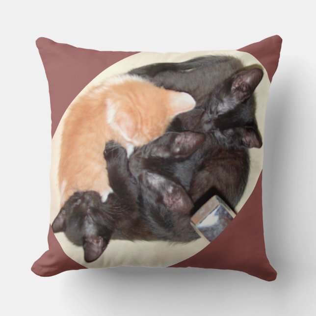 Mewkat 37 Square Sierkussen (Voorkant)