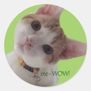 meWOW Nieuwsgierig Kat Goed Werk  Sticker