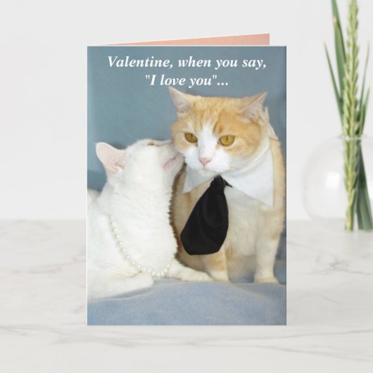 MEWS-ic in mijn oren Feestdagen Kaart (Voorkant)