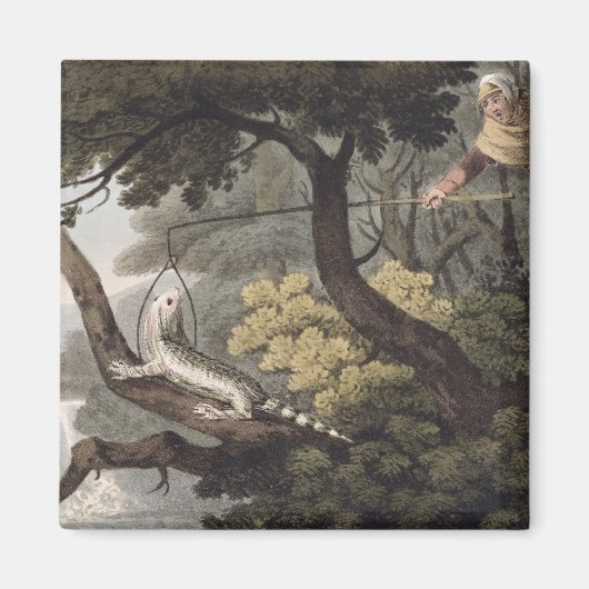 Mexicaan Lizard Catcher, gegraveerd door Matthew D Magneet (Voorkant)