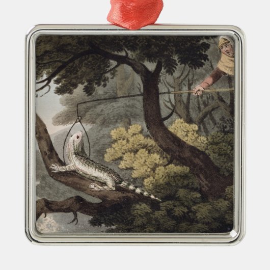 Mexicaan Lizard Catcher, gegraveerd door Matthew D Metalen Ornament (Voorkant)