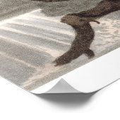 Mexicaan Lizard Catcher, gegraveerd door Matthew D Poster (Hoek)