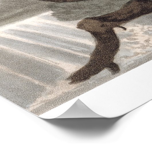 Mexicaan Lizard Catcher, gegraveerd door Matthew D Poster (Hoek)