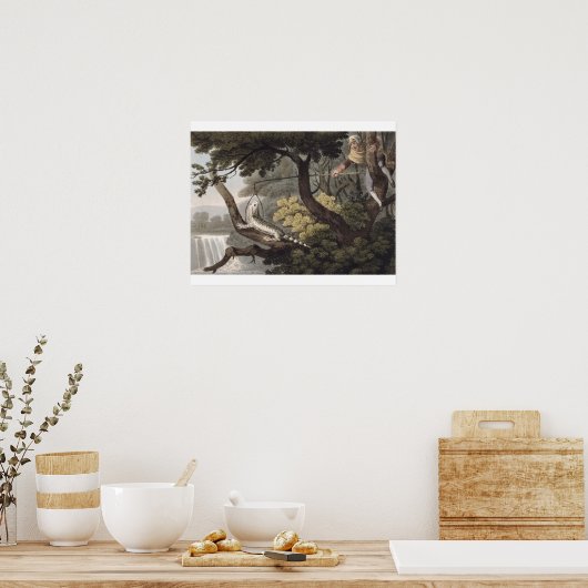 Mexicaan Lizard Catcher, gegraveerd door Matthew D Poster (Keuken)