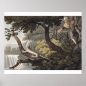 Mexicaan Lizard Catcher, gegraveerd door Matthew D Poster (Voorkant)