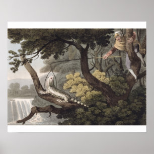 Mexicaan Lizard Catcher, gegraveerd door Matthew D Poster