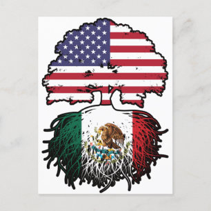 Mexicaans-Amerikaanse vlag Briefkaart
