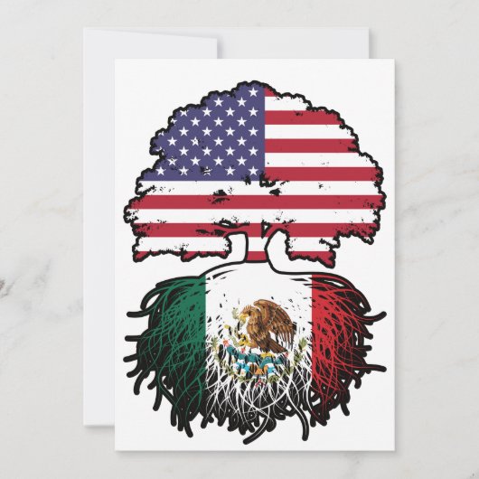 Mexicaans-Amerikaanse vlag Kaart (Voorkant)