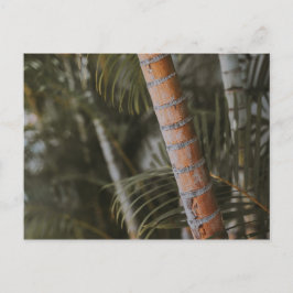 Mexicaans Bamboo Briefkaart