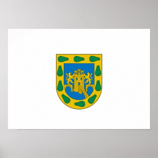 Mexicaans Federaal District Poster (Voorkant)