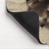 Mexicaans Flameknee Tarantula Spider Muismat (Hoek)