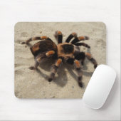 Mexicaans Flameknee Tarantula Spider Muismat (Met muis)