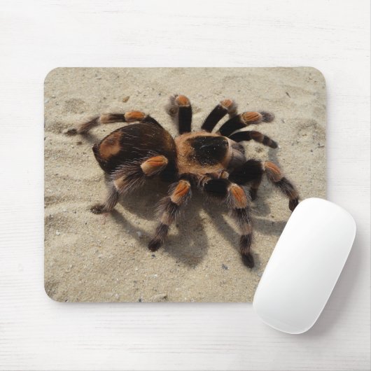 Mexicaans Flameknee Tarantula Spider Muismat (Met muis)