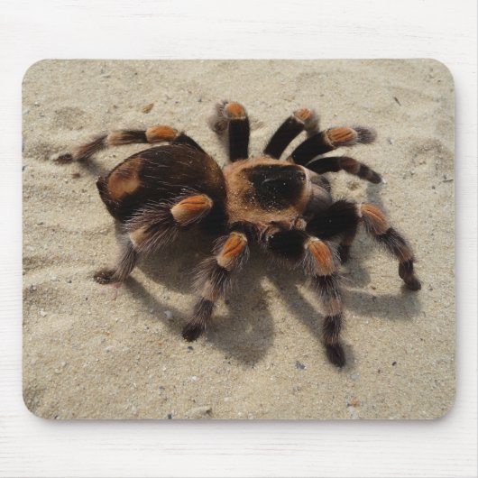 Mexicaans Flameknee Tarantula Spider Muismat (Voorkant)