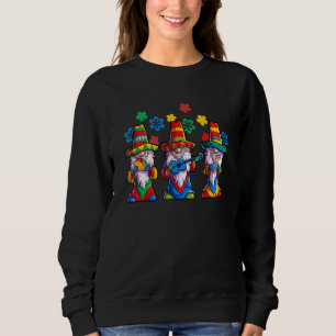 Mexicaans genoom sombrero poncho 3 Gnomes cinco de Trui