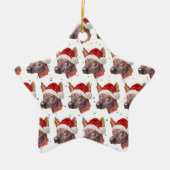 Mexicaans hairless Hondenras kerststerren Keramisch Ornament (Voorkant)