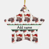 Mexicaans hairless Hondenras kerststerren Keramisch Ornament (Achterkant)