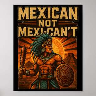 Mexicaans niet Mexicaans-kan niet  Cinco de Mayo M Poster
