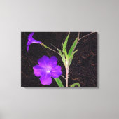 Mexicaans Petunia Paars Canvas Afdruk (Voorkant)