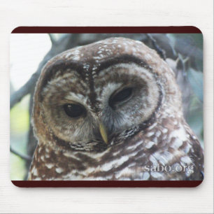 Mexicaans Spotted Owl Mousepad Muismat