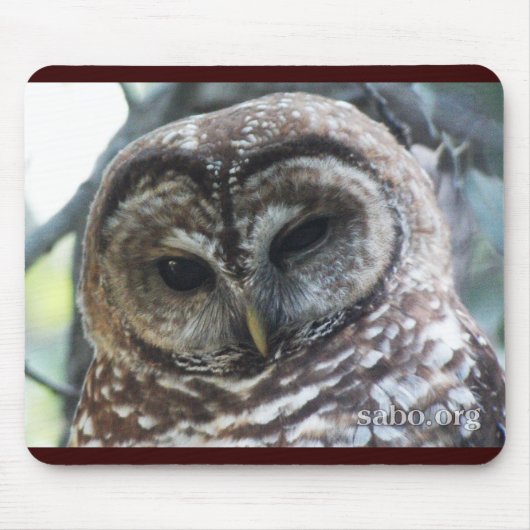 Mexicaans Spotted Owl Mousepad Muismat (Voorkant)