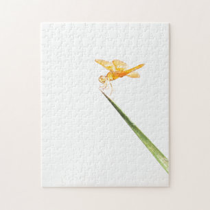 Mexicaanse ambervleugel legpuzzel