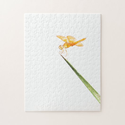 Mexicaanse ambervleugel legpuzzel (Verticaal)