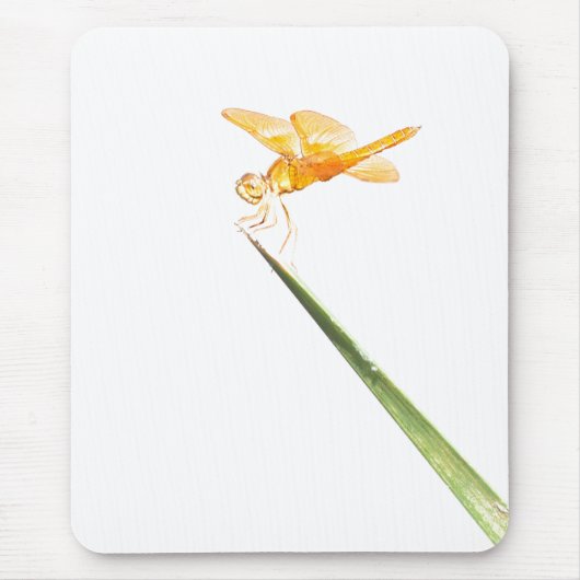 Mexicaanse ambervleugel muismat (Voorkant)