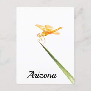Mexicaanse ambervleugeldragonfly , Arizona Briefkaart