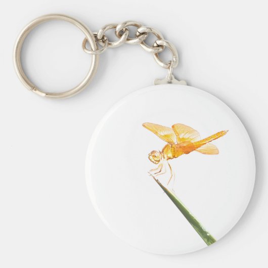 Mexicaanse ambervleugelvlieg sleutelhanger (Voorkant)
