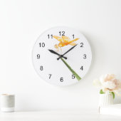 Mexicaanse amberwing libel grote klok (Huis)