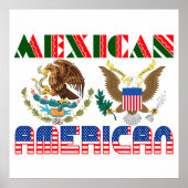 Mexicaanse Amerikaanse adelaars Poster (Voorkant)