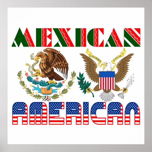 Mexicaanse Amerikaanse adelaars Poster (Voorkant)