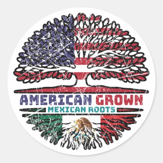 Mexicaanse Amerikaanse Amerikaanse Amerikaanse Ame Ronde Sticker (Voorkant)