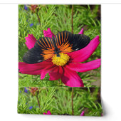 Mexicaanse asterbloem met een Doris Longwing Behang (Afrollen)