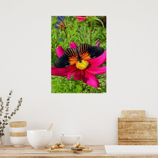 Mexicaanse asterbloem met een Doris Longwing  Poster (Keuken)