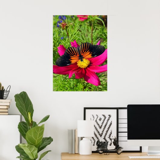 Mexicaanse asterbloem met een Doris Longwing  Poster (Thuiskantoor)