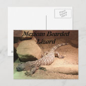 Mexicaanse baardhagedis briefkaart (Voorkant / Achterkant)