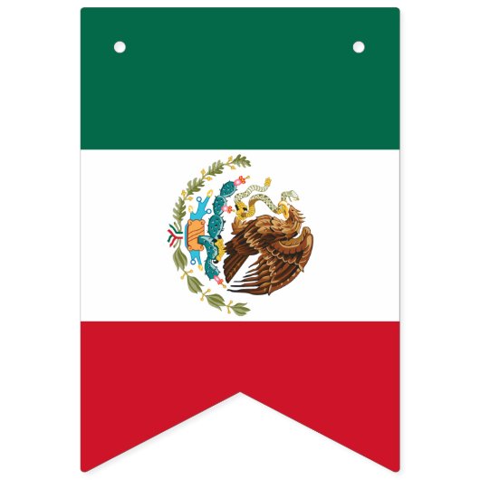 Mexicaanse banners, Mexicaanse vlagpartij/bruiloft Vlaggetjes (Tweede vlag)
