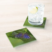 Mexicaanse blauwe vleugelvlinder glazen onderzetter (Schuin)