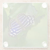 Mexicaanse blauwe vleugelvlinder glazen onderzetter (Achterkant)