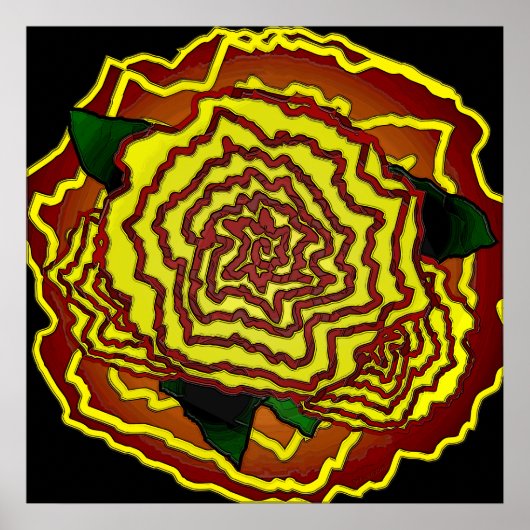 mexicaanse bloem poster (Voorkant)