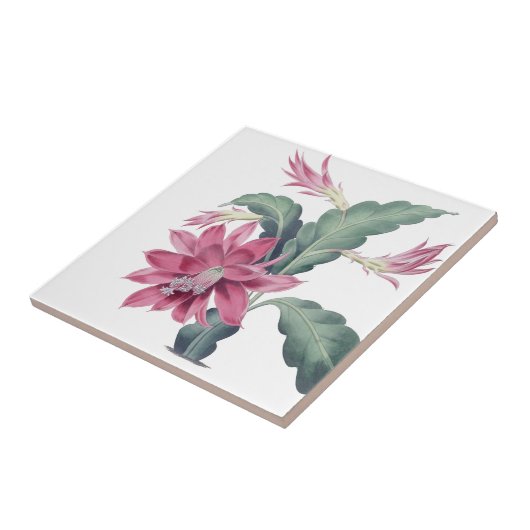 Mexicaanse cactus bloem roze tegeltje (Zijkant)