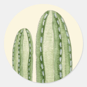 Mexicaanse cactus sticker