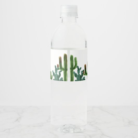 Mexicaanse Cactus Waterfles Etiketten (Achterkant)