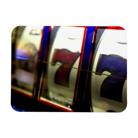 Mexicaanse cruise. Princess Cruises Dawn Princess  Magneet (Horizontaal)