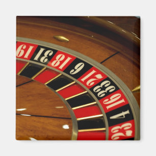 Mexicaanse cruise. Princess Cruises Dawn Princess  Magneet