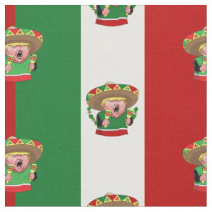Mexicaanse Donald Trump stof