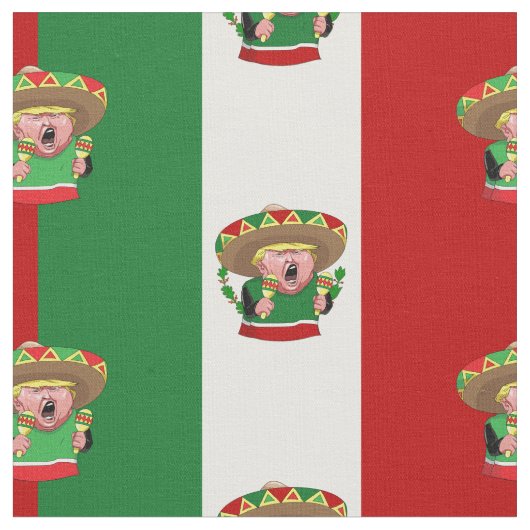 Mexicaanse Donald Trump stof (Close Up)