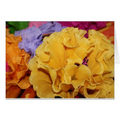 Mexicaanse Fiesta Flower (Voorkant Horizontaal)